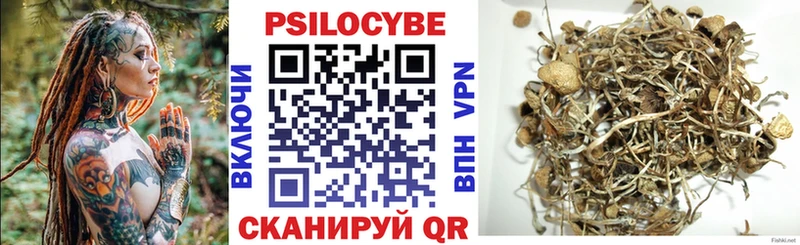 Псилоцибиновые грибы мицелий  купить   Бобров 